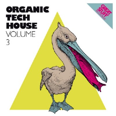 VA - Organic Techhouse Vol 3