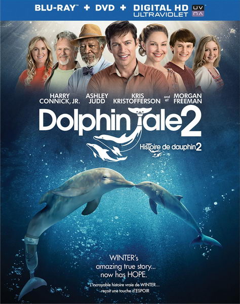 Dolphin Tale 2