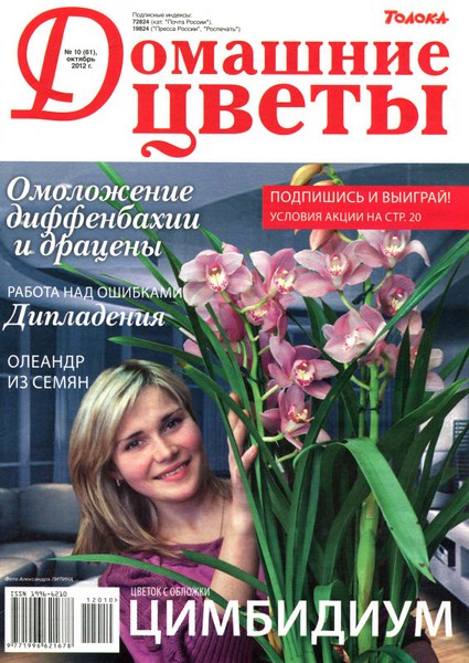 Домашние цветы №10 (октябрь 2012)
