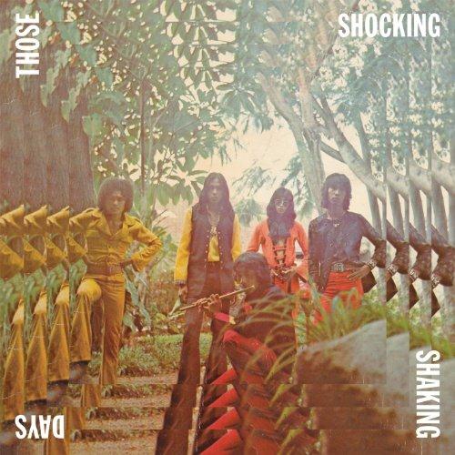 VA - Those Shocking, Shaking Days - 1978 (2011)