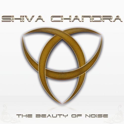 Shiva Chandra. The Beauty of Noise (2012)