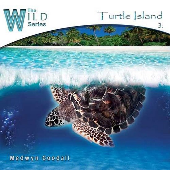 Medwyn Goodall. Turtle Island (2013)