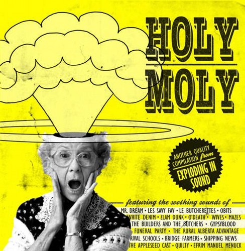 скачать Exploding in sound presents: Holy Moly (2011)