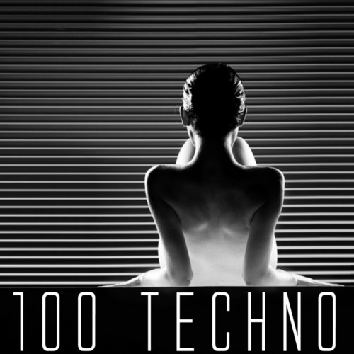 скачать 100 Techno (2011)