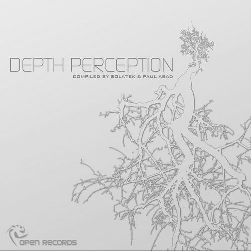 скачать Depth Perception (2011)