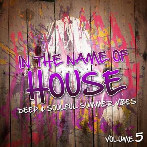 скачать In The Name Of House Vol. 5 (2011)