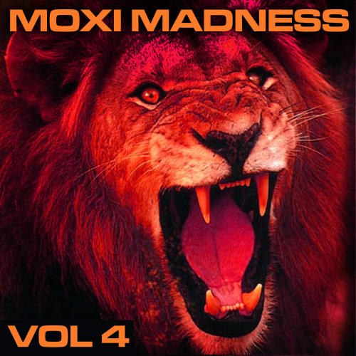 скачать Moxi Madness Vol 4 (2011)
