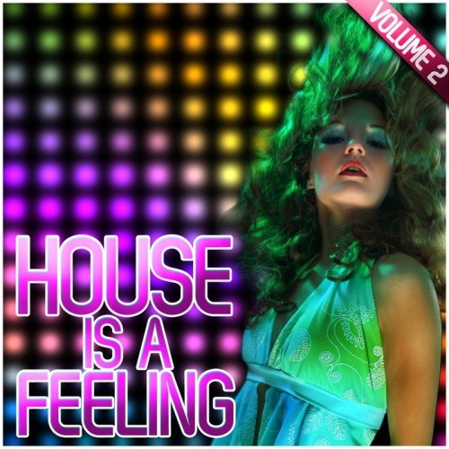 скачать House Is a Feeling Vol. 2 (2011)