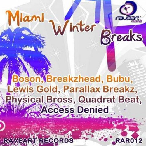 скачать Miami Winter Breaks (2011)