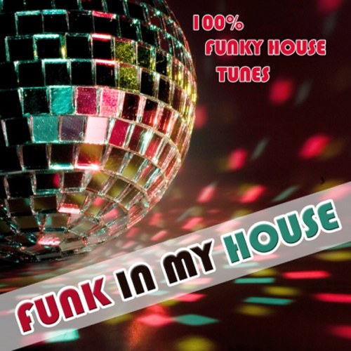 скачать Funk In My House (2011)