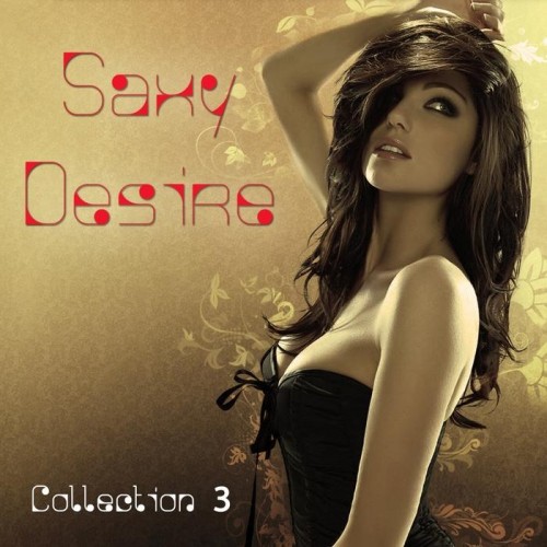 скачать Saxy Desire Collection Vol.3 (2011)