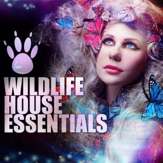 скачать Wildlife House Essentials (2012)