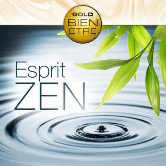 скачать Nicolas Dri. Esprit Zen: Collection Gold Bien-Etre (2010)