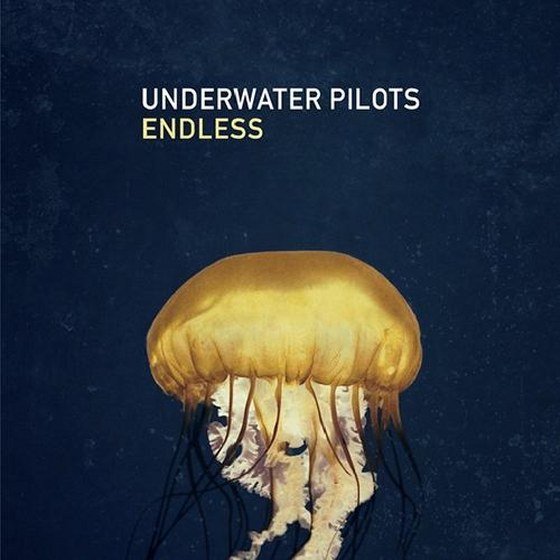 скачать Underwater Pilots. Endless (2012)