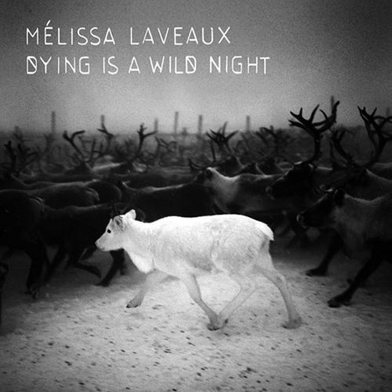 Melissa Laveaux. Dying Is A Wild Night (2013)