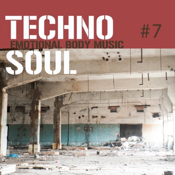 Techno Soul #7. Emotional Body Music (2013)