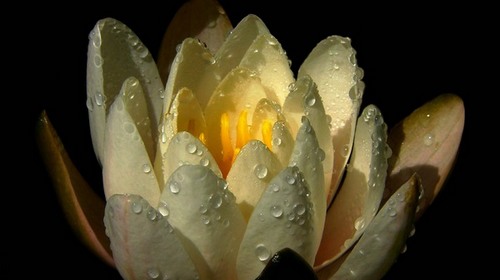 Computer Desktop Wallpapers Collection. www.cwer.ru