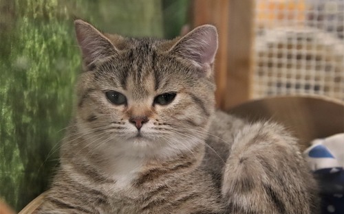 Computer Desktop Wallpapers Collection. www.cwer.ru