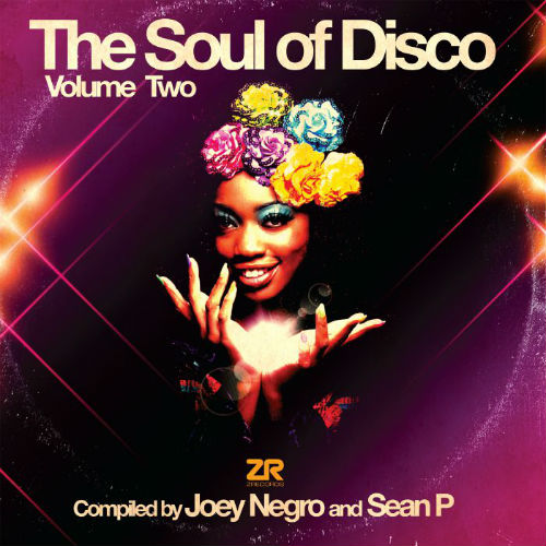 The Soul Of Disco Vol.2