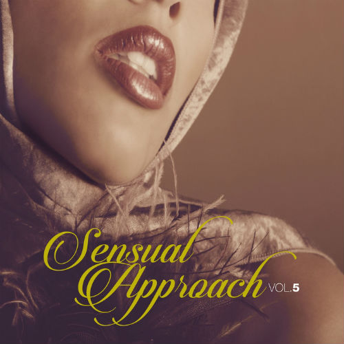 Sensual Approach Vol.5