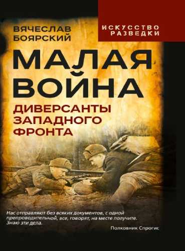 Малая война