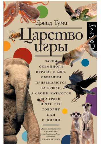 Царство игры