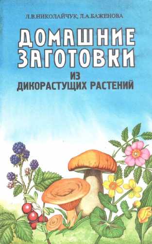 Домашние заготовки из дикорастущих растений