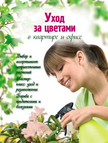 Уход за цветами в квартире и офисе