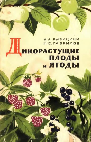 Николай Рыбицкий. Дикорастущие плоды и ягоды