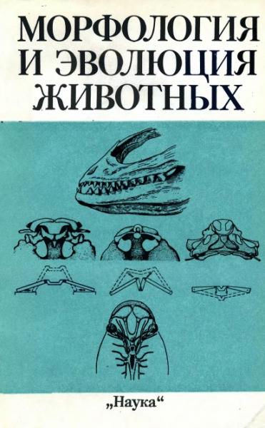 Э.И. Воробьева. Морфология и эволюция животных