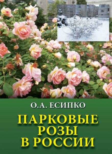 О.А. Есипко. Парковые розы в России