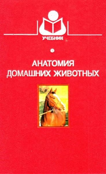 И.В. Хрусталёва. Анатомия домашних животных. Учебник
