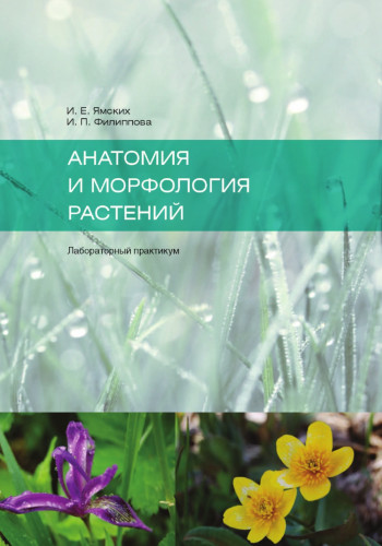 И. Филиппова. Анатомия и морфология растений