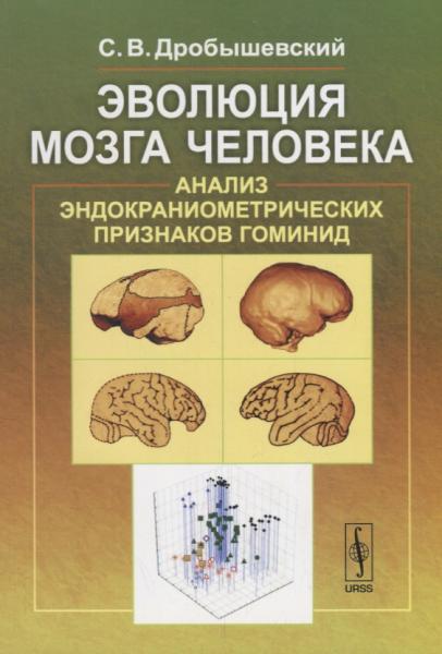 С.В. Дробышевский. Эволюция мозга человека. Анализ эндокраниометрических признаков гоминид