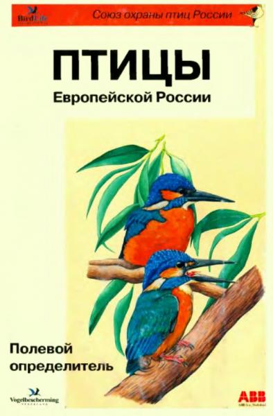 Птицы Европейской России