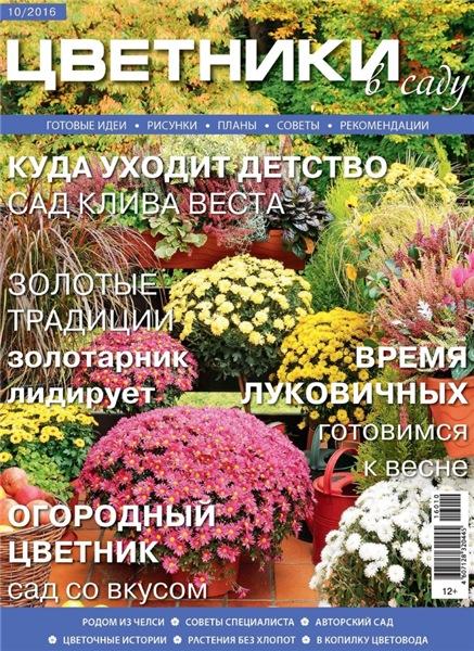 Цветники в саду №10 (октябрь 2016)