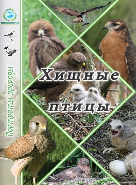 С.В. Бакка. Хищные птицы Нижегородской области