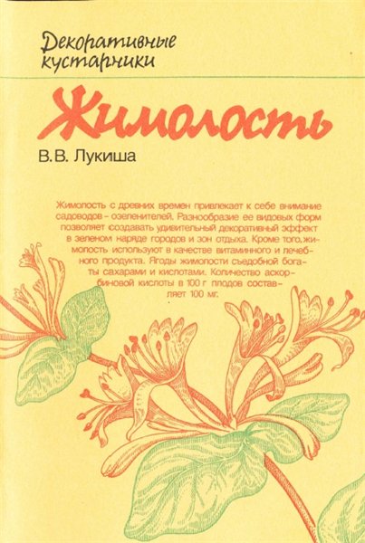 В.В. Лукиша. Жимолость