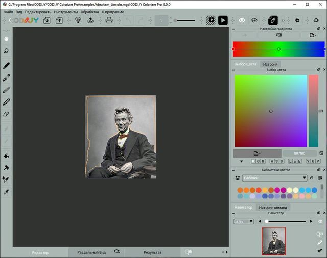codijy colorizer pro tutorial codijy colorizer pro tutorial