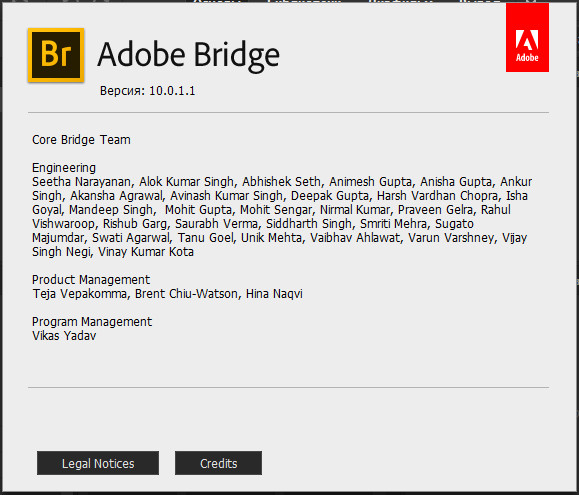 Adobe Bridge 2020 v10.0.1.1