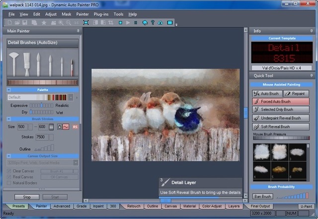 MediaChance Dynamic Auto Painter Pro 6