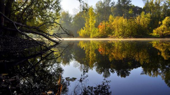 картинки, фото, природа, красота, лес, цвет, краски