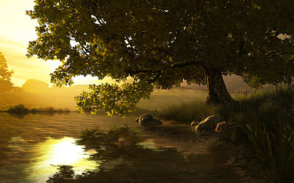 Lake Tree 3D Screensaver