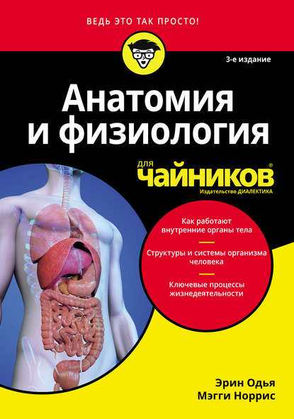 anatomiya-i-fiziologiya-dlya-chaynikov
