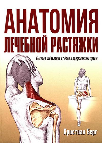 anatomiya-lechebnoy-rastyazhk