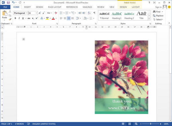 Microsoft Office Professional Plus 2013 Preview 
