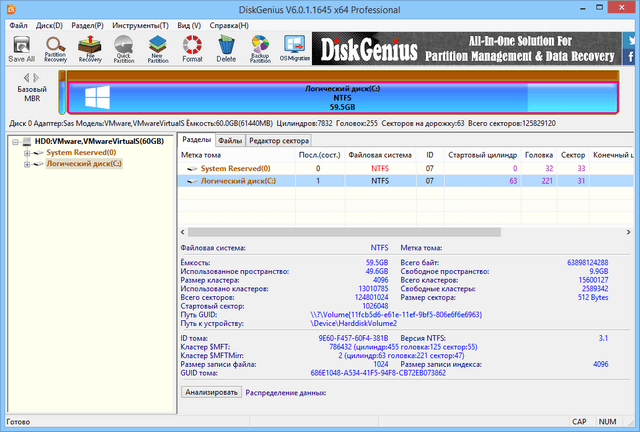 DiskGenius Professional