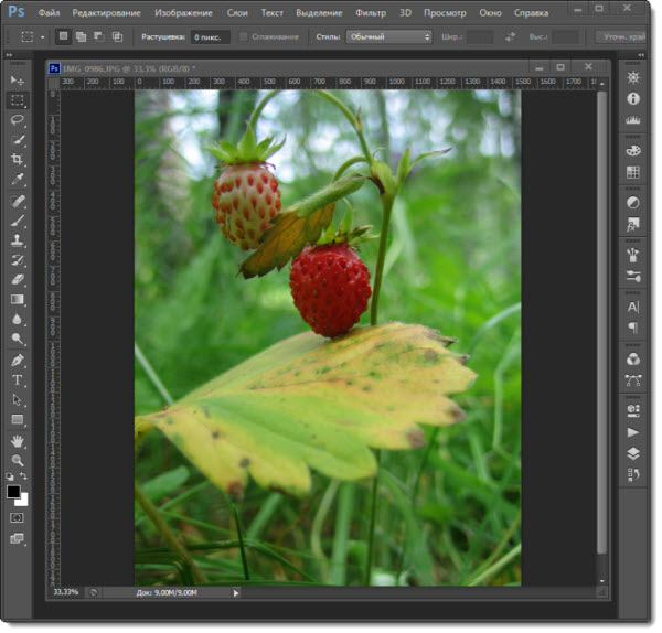 Adobe Photoshop CS6 13.1.2