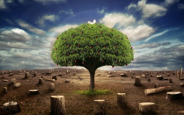 Best Mixed Wallpapers Pack #455-456