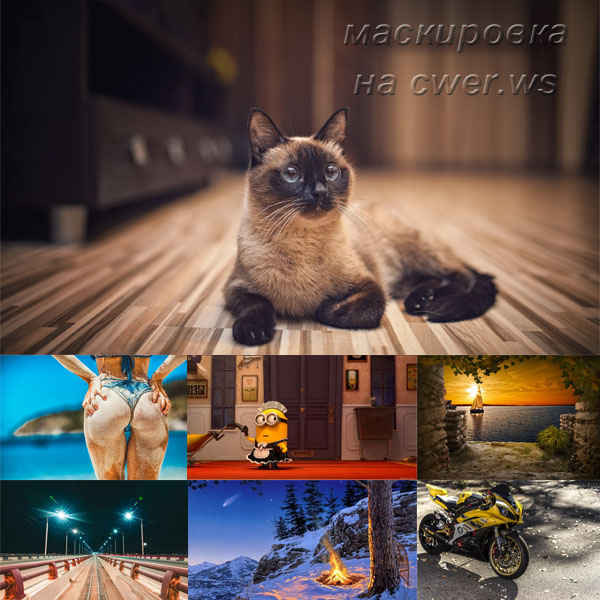 New Mixed HD Wallpapers Pack 337